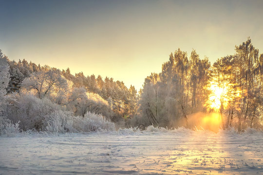 Vibrant Christmas winter landscape on sunrise. Warm sunlight in morning winter nature. Frost and fog in clear sunny morning. Frosty and snowy trees in shining sunbeams. Amazing nature background