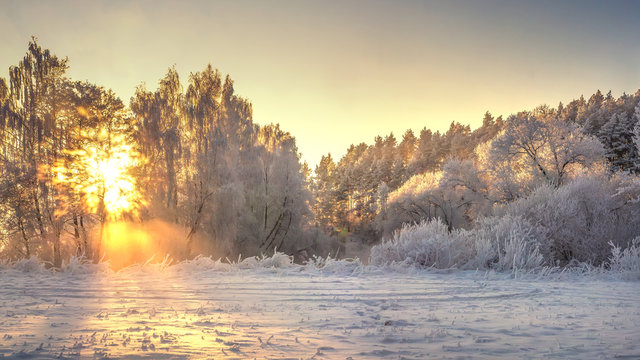 Winter nature landscape in bright sunrise. Frosty and snowy trees on river shore in golden vivid sunlight. Sunrays glowing on branches of trees. Frost on clear sunny morning. Christmas background