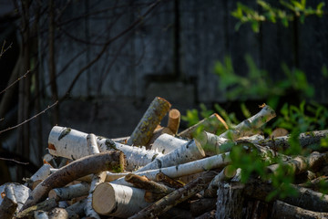 pile of fire wood logs