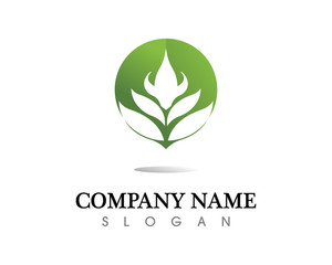 Tree leaf vector logo design, eco-friendly concept.