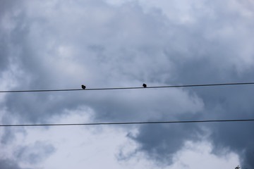 electricity poles with wires in countryside