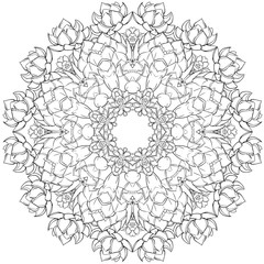 circular pattern, Mandala, Succulents. Vector. flowers, leaves. Design for coloring book page for adults and kids, Black and white drawing isolated on white