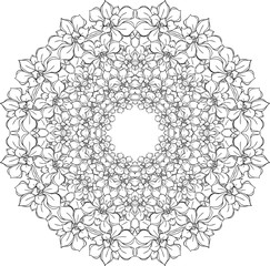 Mandala,Succulents. circular pattern,  Vector. flowers, leaves. Design for coloring book page for adults and kids, Black and white drawing isolated on white