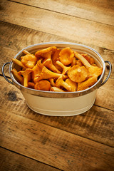delicious yellow and fresh chanterelle mushrooms in a bowl on an old wooden table