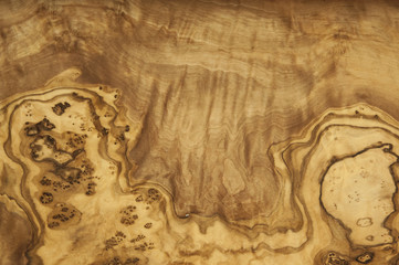 olive tree cut texture