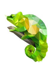 Colorful polygonal style design of wild reptile chameleon © Olhapankiv