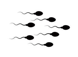 Spermatozoa quickly move to the target and overtake each other
