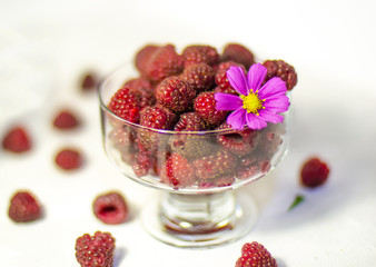  raspberry in a glass,  raspberry in a croissant