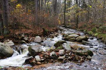 Harz- Brocken Aufstieg - III - 