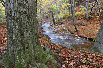 Harz- Brocken Aufstieg - III - 