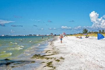Beach walkers during red tide