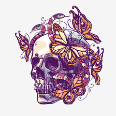 Skull with patterns, butterflys and snakes. Vector illustration in grunge style for tattoo or mexico event.