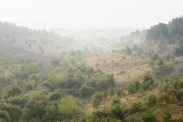Summer landscape. Green hills with trees in misty sunrise