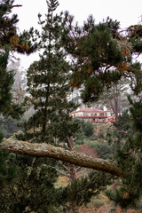 The Northern California Collection