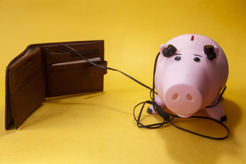 piggybank listening to wallet