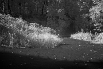 Turn In The Road Infrared Photography
