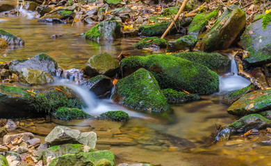 Small creek in the Carpathian Mountains in the autumn season