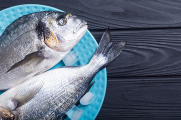 Raw dorado fish in plate with ice