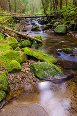 Obraz premium Small creek in the Carpathian Mountains in the autumn season