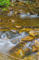 Small creek in the Carpathian Mountains in the autumn season