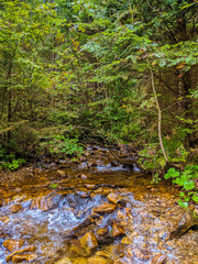 Small creek in the Carpathian Mountains in the autumn season
