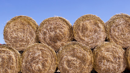 Hay bales in Wiltshire, England in August
