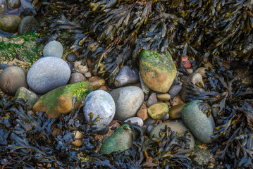 Pebbles on the beach