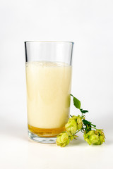 A pint of bright tasty beer with foam. Hop cones next to a cold alcoholic drink.