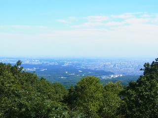 Fototapeta na wymiar Mt. Takao