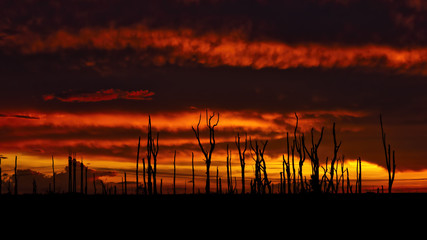 Fototapeta na wymiar Red sky sunset over silhouettes