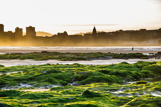 Gij&oacute;n