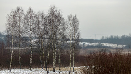 the nature of southern Poland