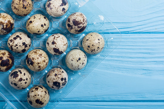 Raw qail eggs background