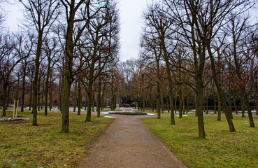 Fototapeta na wymiar deserted winter Park