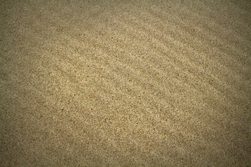 Fototapeta na wymiar The background image of natural sea sand lies beautiful furrows. Background sand with vignetting.