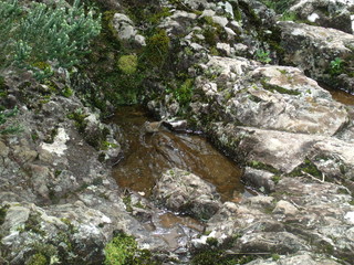 GEDSC DIGITAL CAMERA