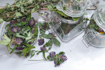 collection of dried herbs