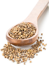 Raw, unprocessed organic coriander or cilantro seeds in wooden spoon on white