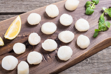Raw scallops with salad
