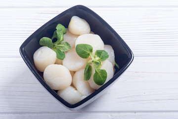 Raw scallops with salad