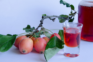 Wild apples on a branch on white background