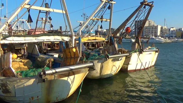 Commercial Fishing Boat At Wharf
