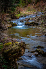 Fototapeta premium Strumień w lesie #19