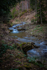 Strumień w lesie #16