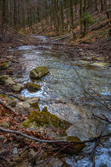 Strumień w lesie #11