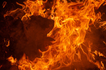 Flame of fire on a black background