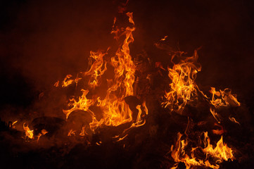 Flame of fire on a black background