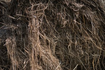 texture of dry hay for livestock close up