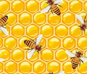 Seamless pattern with bees and honeycomb. Honey. Useful insects. Vector.