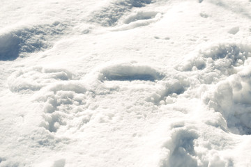 Footprints in the snow